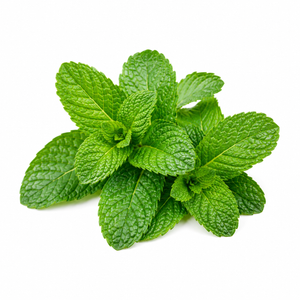 Peppermint